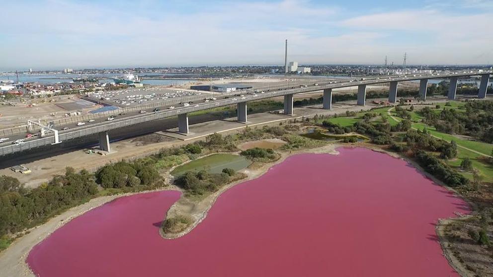 el-lago-australiano-que-se-tine-de-rosa-todos-los-veranos